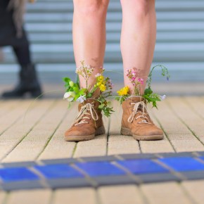 Broad Meadow – a wildflower installation and audio experience by artists Sylvia Rimat and Charli&nbsp;Clark